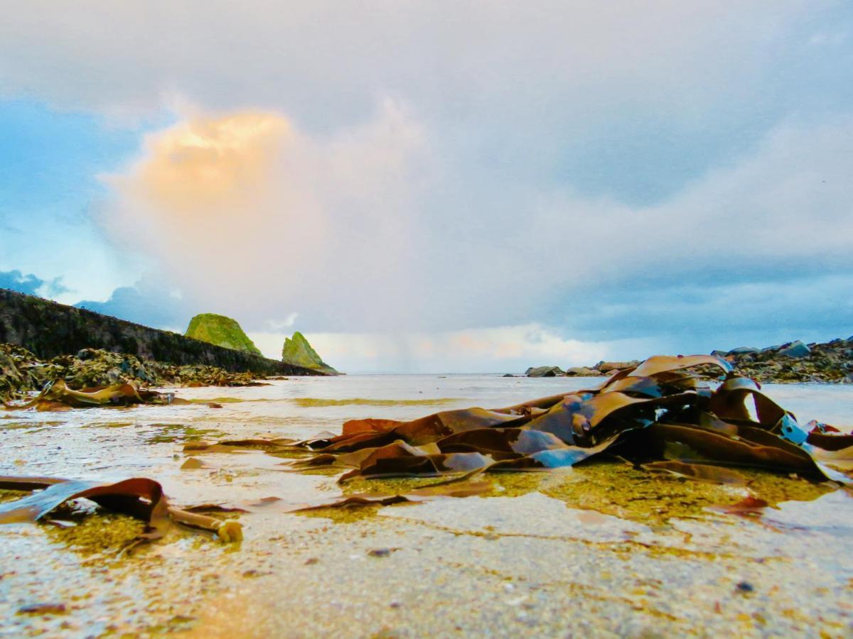 Windhaven Camping And B&B เธอร์โซ ภายนอก รูปภาพ